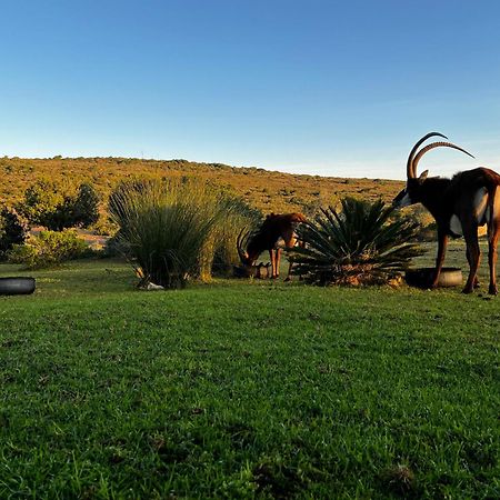 Baardbos Private Game Reserve Apartman Stilbaai Kültér fotó