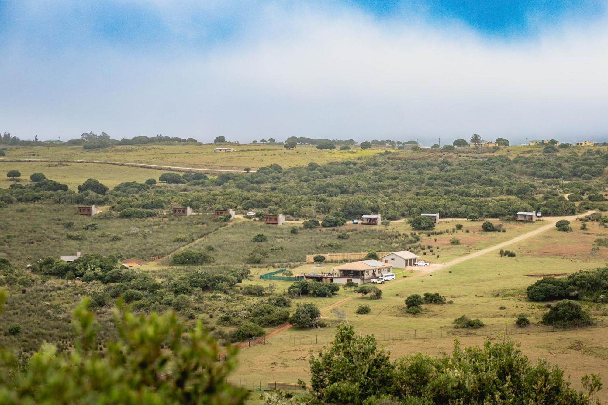 Baardbos Private Game Reserve Apartman Stilbaai Kültér fotó